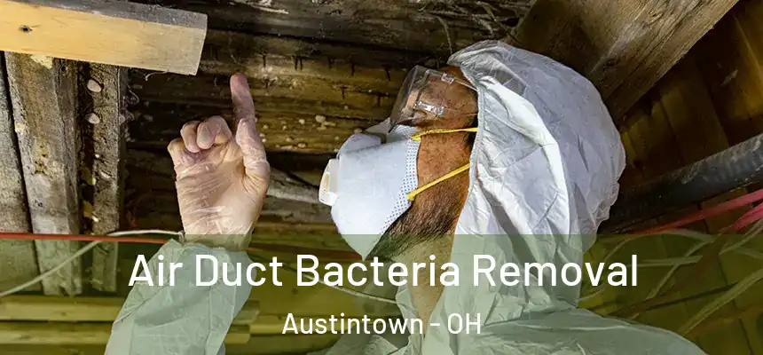  Air Duct Bacteria Removal Austintown - OH