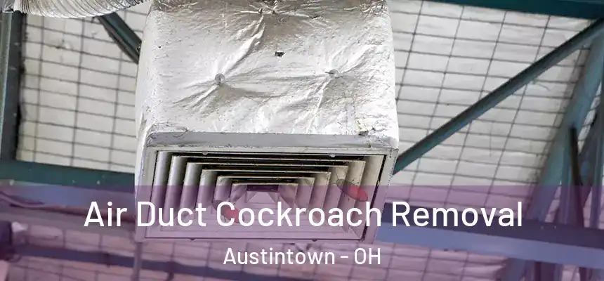 Air Duct Cockroach Removal Austintown - OH