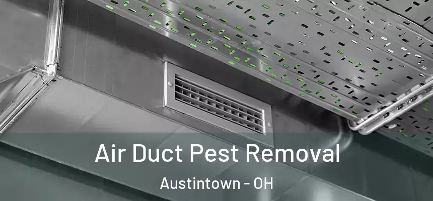  Air Duct Pest Removal Austintown - OH