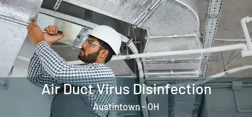 Air Duct Virus Disinfection Austintown - OH