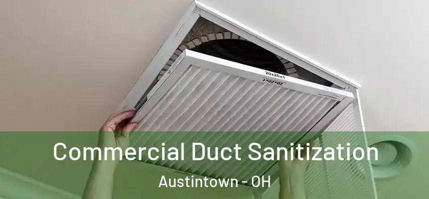  Commercial Duct Sanitization Austintown - OH