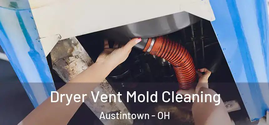  Dryer Vent Mold Cleaning Austintown - OH