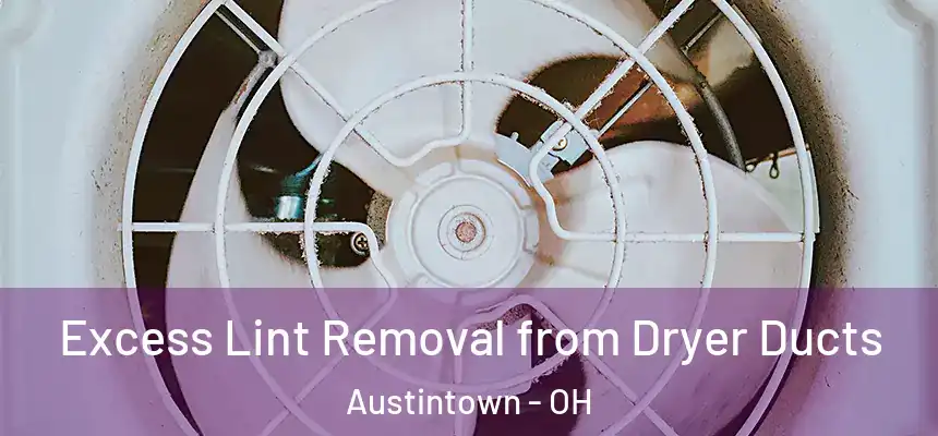  Excess Lint Removal from Dryer Ducts Austintown - OH