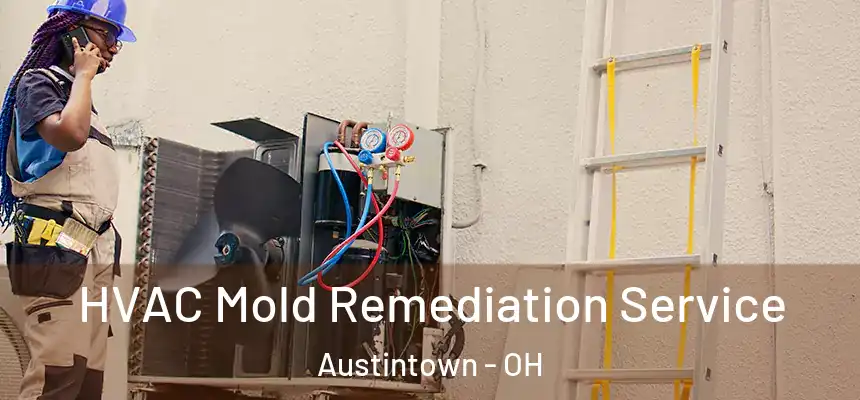  HVAC Mold Remediation Service Austintown - OH