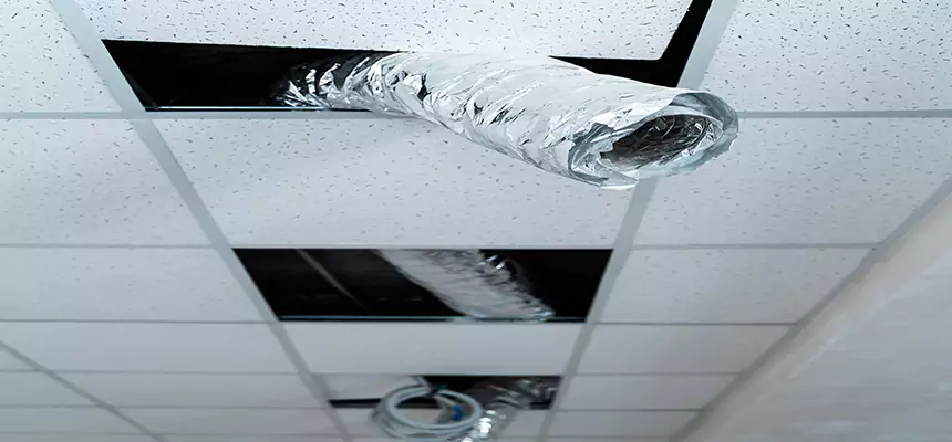 Our Air Duct Pet Hair Removal Services in Austintown, OH