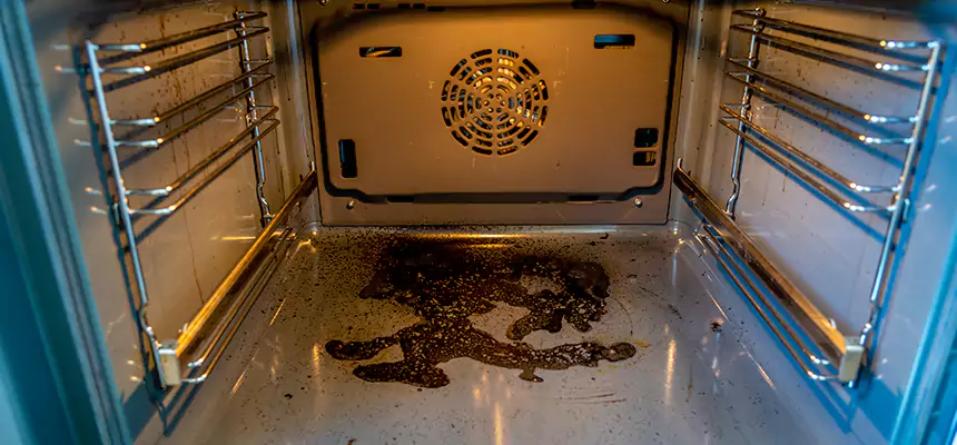 Our Dryer Vent Mold Cleaning Services in Austintown, OH