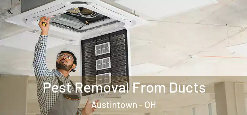  Pest Removal From Ducts Austintown - OH