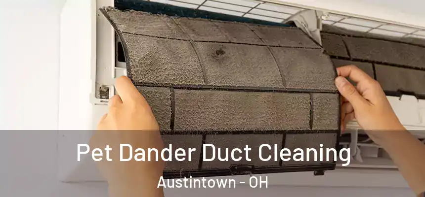  Pet Dander Duct Cleaning Austintown - OH