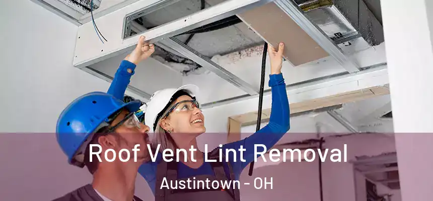  Roof Vent Lint Removal Austintown - OH