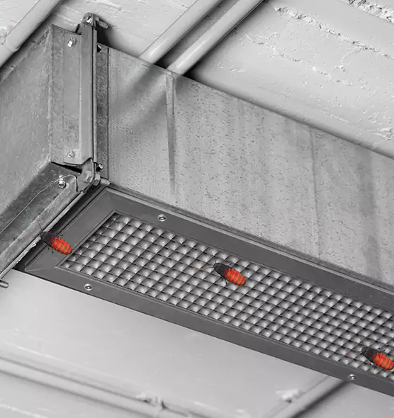 About Air Duct Cockroach Removal in Austintown, OH