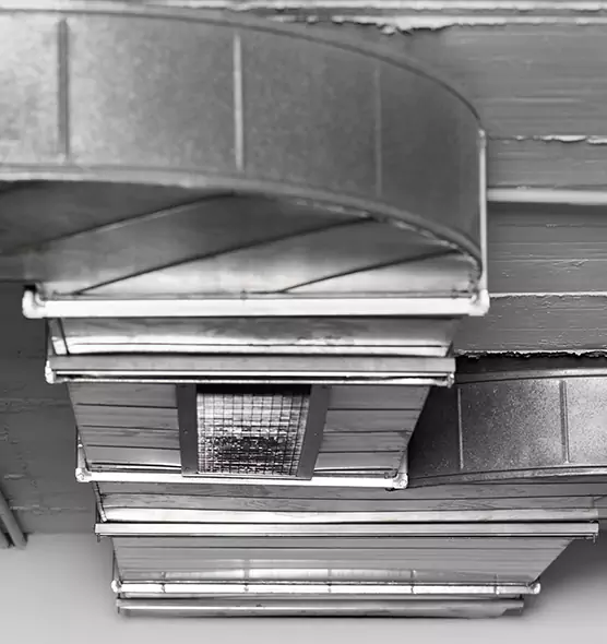 Professional Air Duct Pet Hair Removal in Austintown, OH